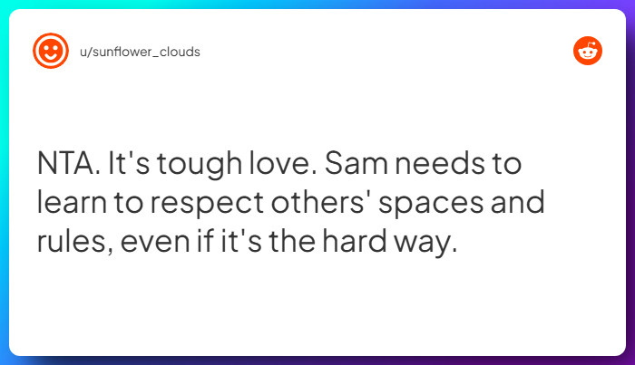 Comment from u/sunflower_clouds