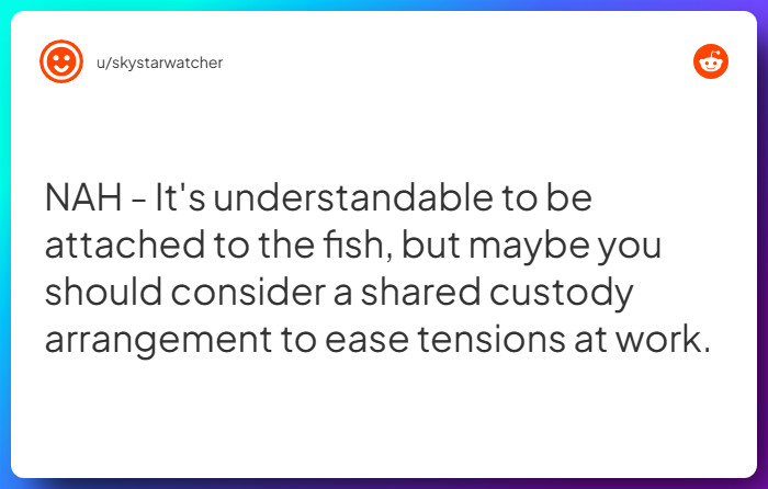 Comment from u/skystarwatcher