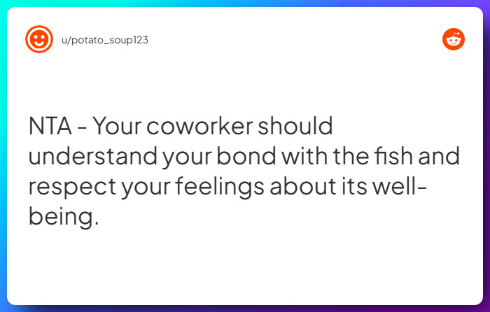 Comment from u/potato_soup123