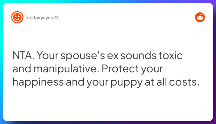 Comment from u/starryeyed24