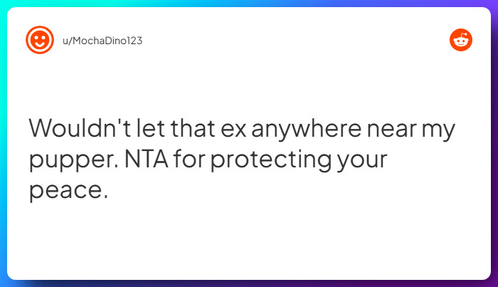 Comment from u/MochaDino123