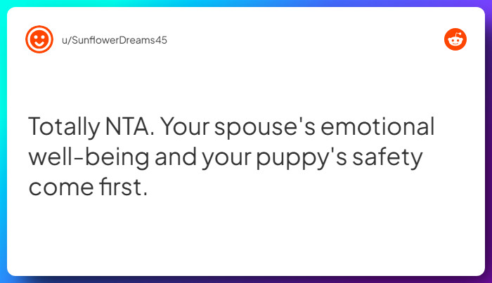 Comment from u/SunflowerDreams45