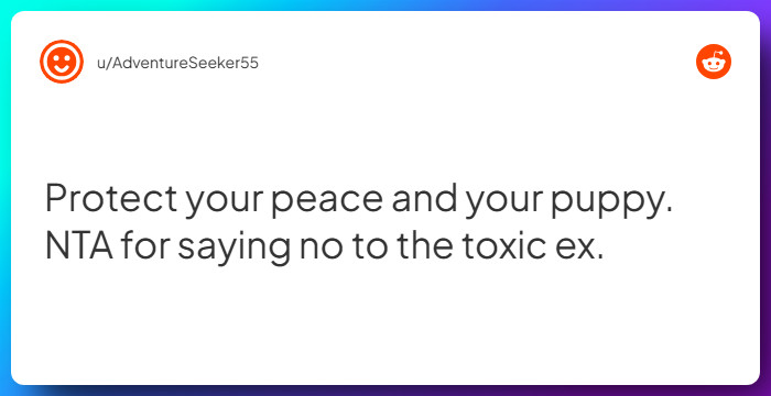 Comment from u/AdventureSeeker55