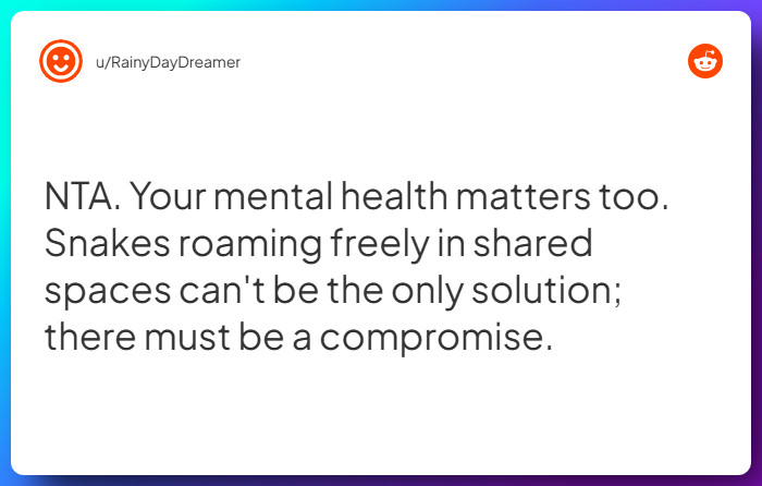 Comment from u/RainyDayDreamer