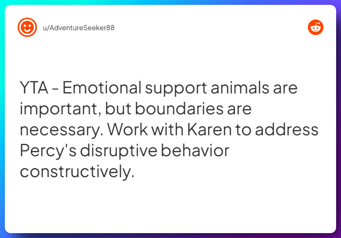 Comment from u/AdventureSeeker88