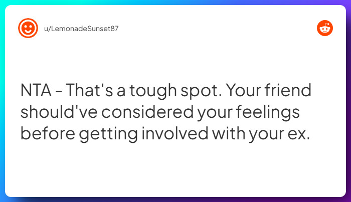 Comment from u/LemonadeSunset87