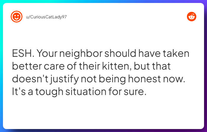 Comment from u/CuriousCatLady97