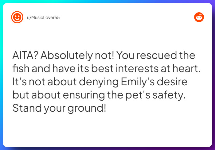 Comment from u/MusicLover55