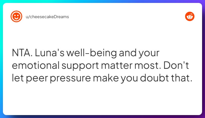 Comment from u/cheesecakeDreams