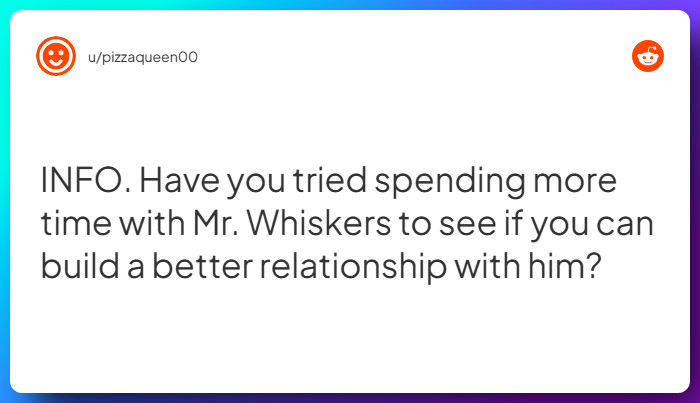 Comment from u/pizzaqueen00