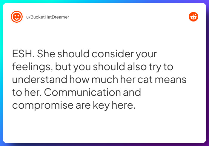 Comment from u/BucketHatDreamer