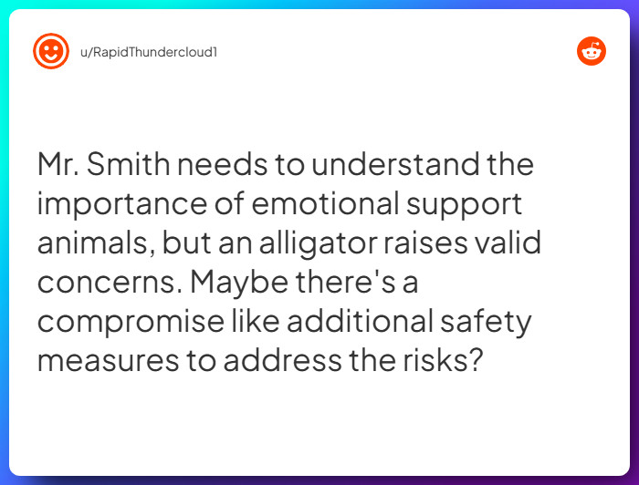 Comment from u/RapidThundercloud1