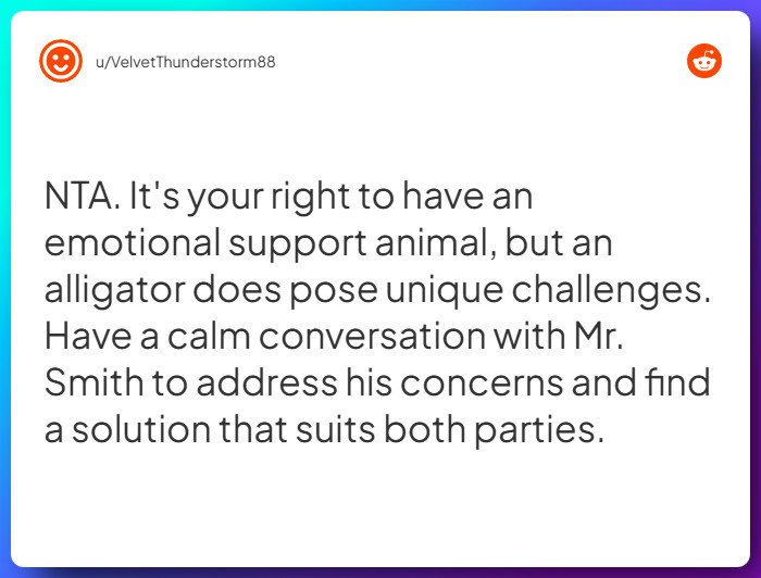 Comment from u/VelvetThunderstorm88