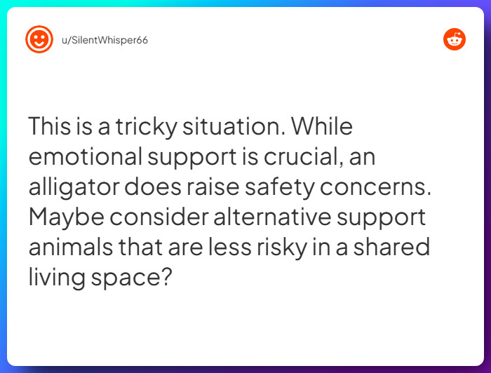 Comment from u/SilentWhisper66