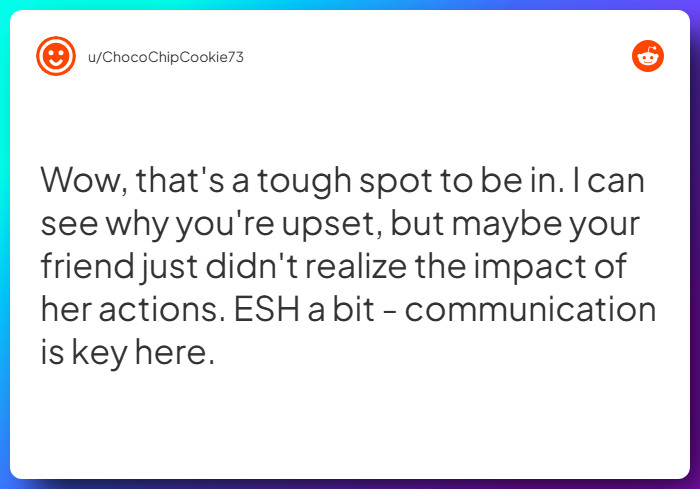 Comment from u/ChocoChipCookie73