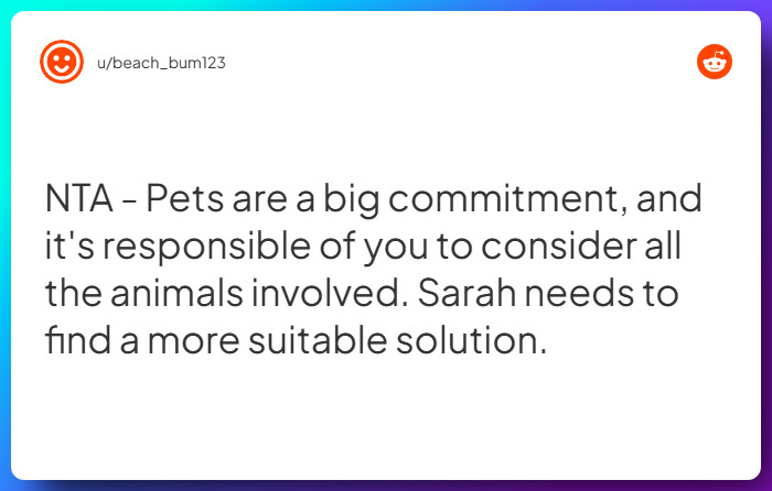 Comment from u/beach_bum123