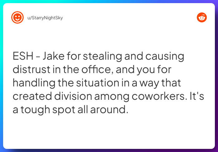 Comment from u/StarryNightSky