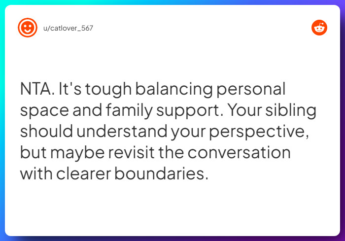 Comment from u/catlover_567