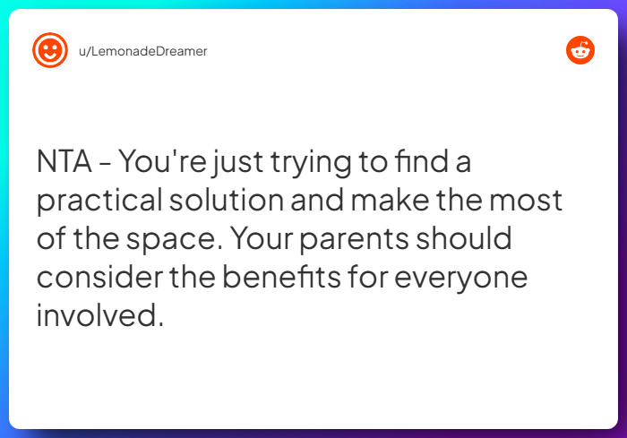 Comment from u/LemonadeDreamer