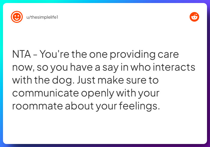 Comment from u/thesimplelife1