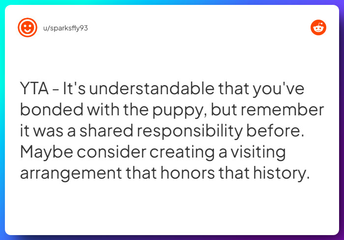 Comment from u/sparksfly93