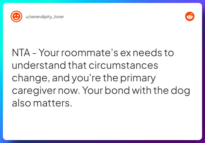 Comment from u/serendipity_lover