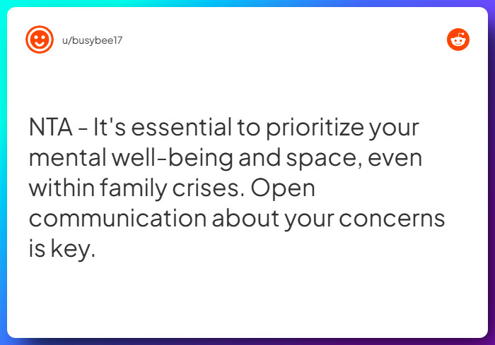 Comment from u/busybee17