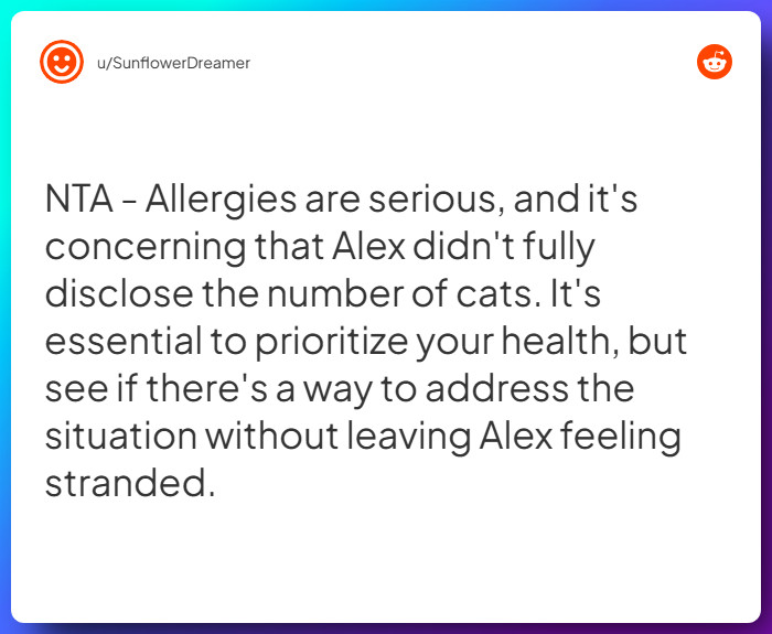 Comment from u/SunflowerDreamer