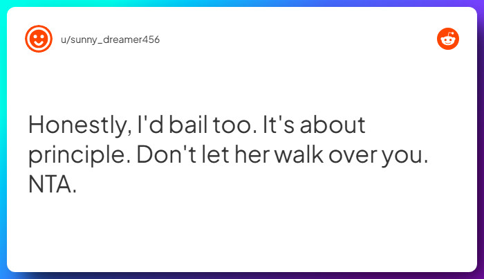 Comment from u/sunny_dreamer456