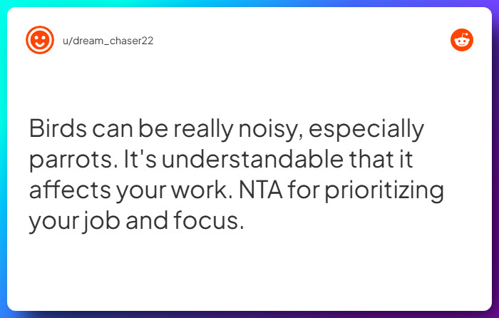 Comment from u/dream_chaser22