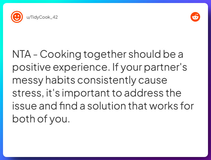 Comment from u/TidyCook_42