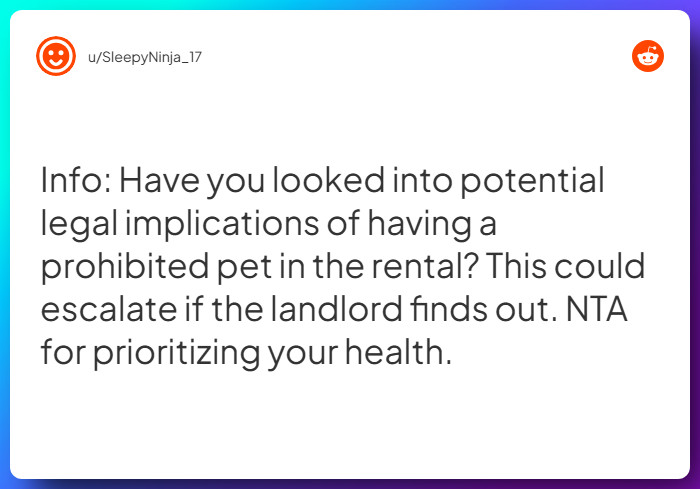 Comment from u/SleepyNinja_17