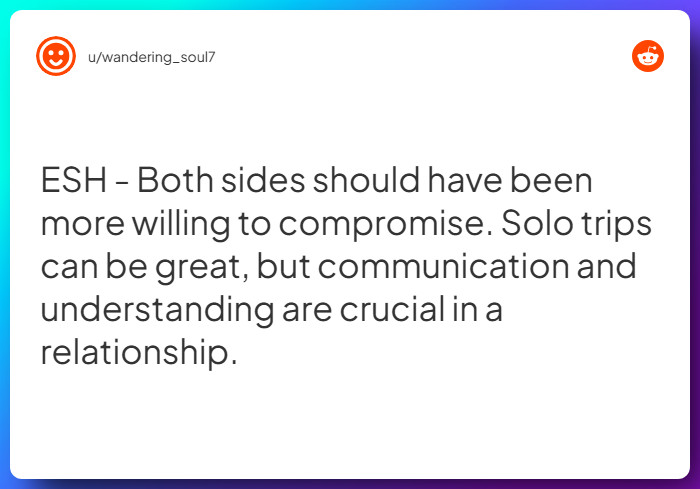 Comment from u/wandering_soul7