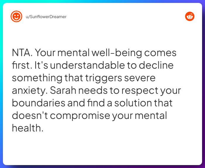 Comment from u/SunflowerDreamer