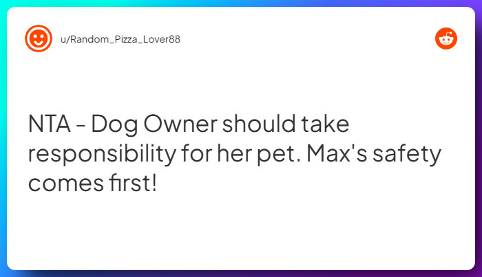 Comment from u/Random_Pizza_Lover88