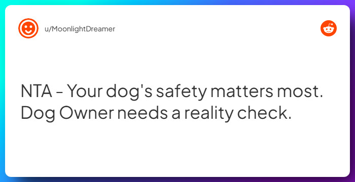 Comment from u/MoonlightDreamer