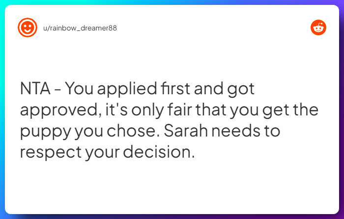 Comment from u/rainbow_dreamer88