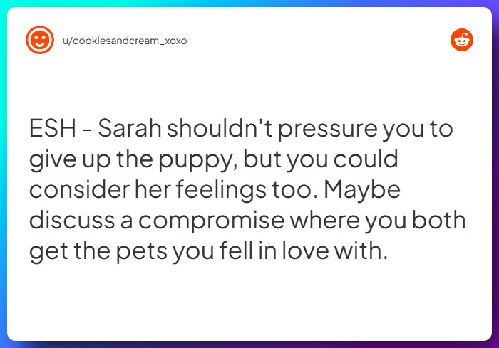 Comment from u/cookiesandcream_xoxo