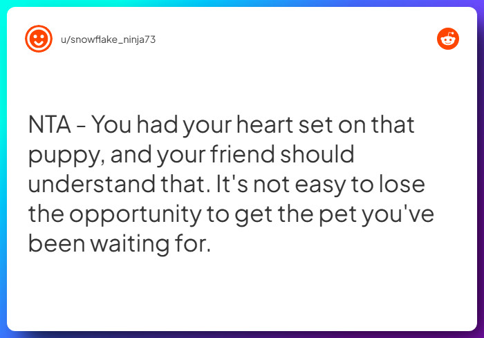 Comment from u/snowflake_ninja73