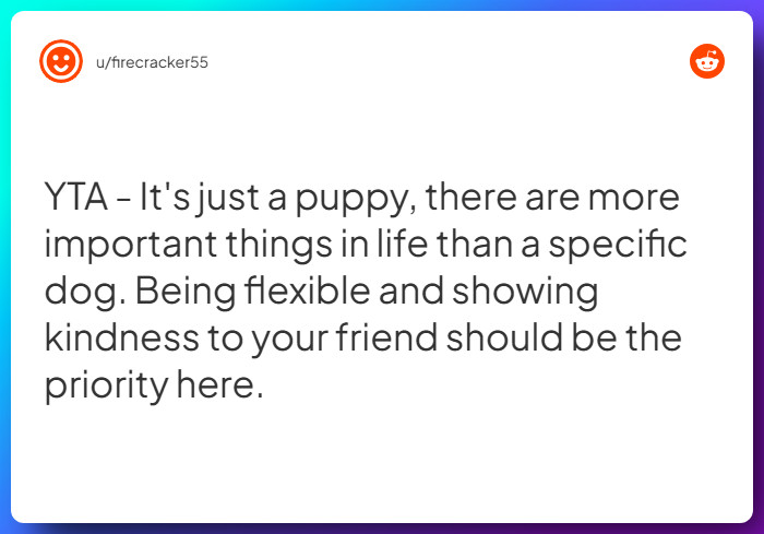 Comment from u/firecracker55