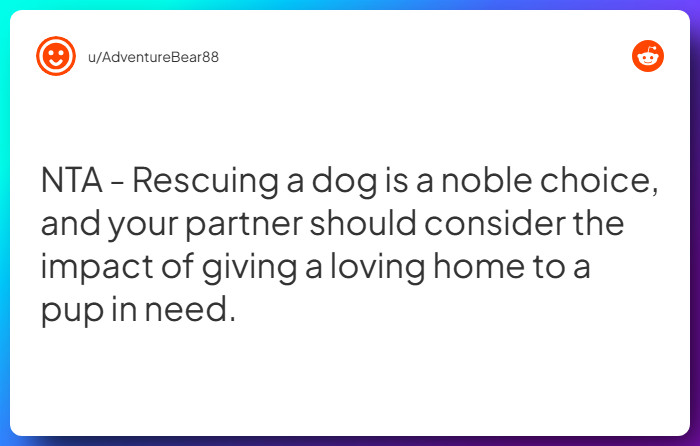 Comment from u/AdventureBear88