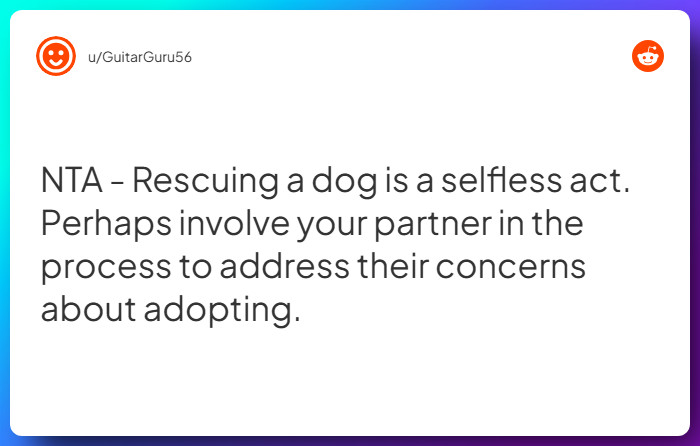 Comment from u/GuitarGuru56