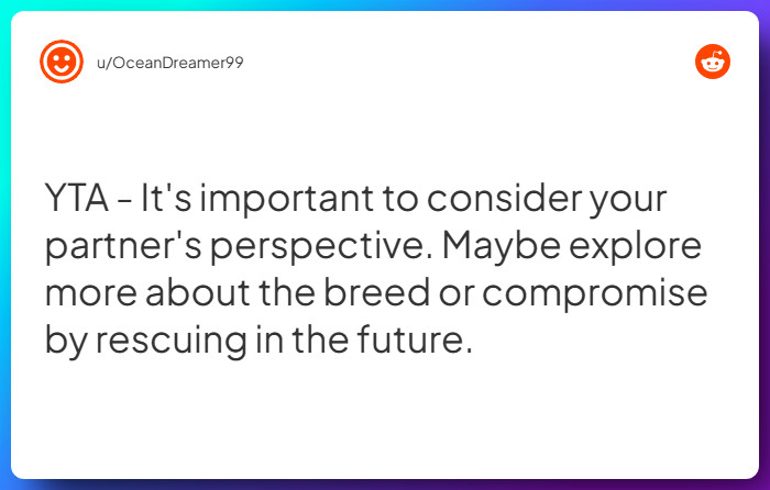 Comment from u/OceanDreamer99