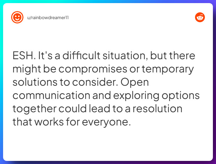 Comment from u/rainbowdreamer11