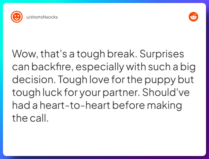 Comment from u/shortsNsocks