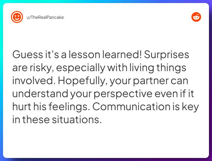 Comment from u/TheRealPancake