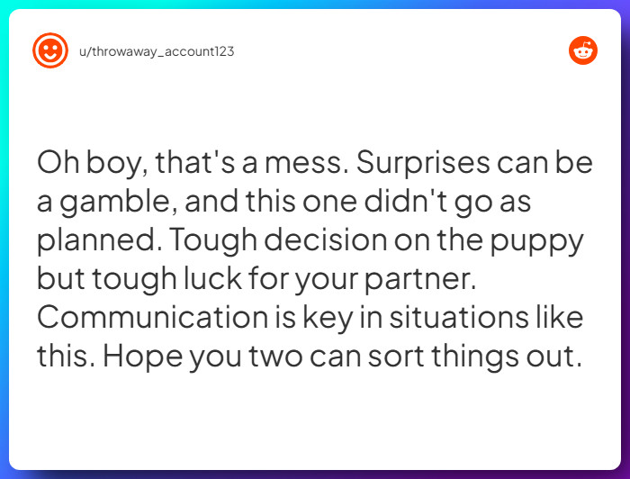 Comment from u/throwaway_account123