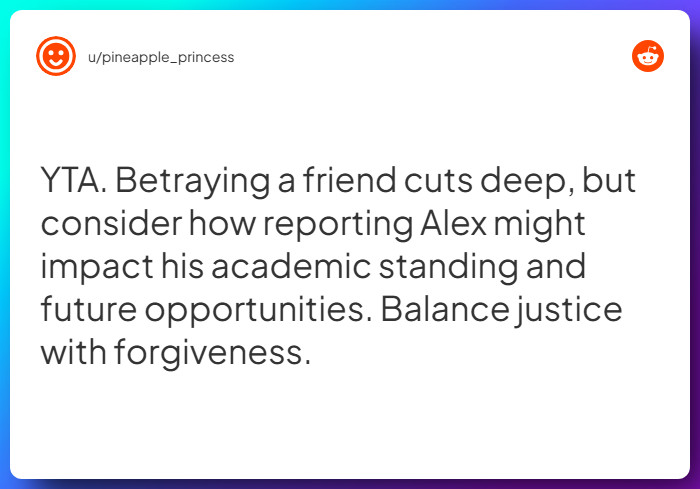 Comment from u/pineapple_princess