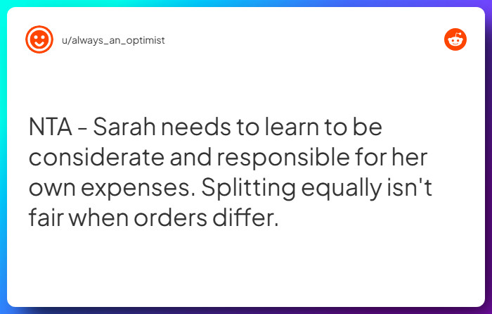 Comment from u/always_an_optimist