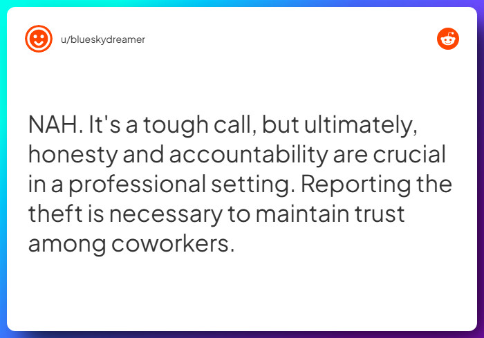 Comment from u/blueskydreamer